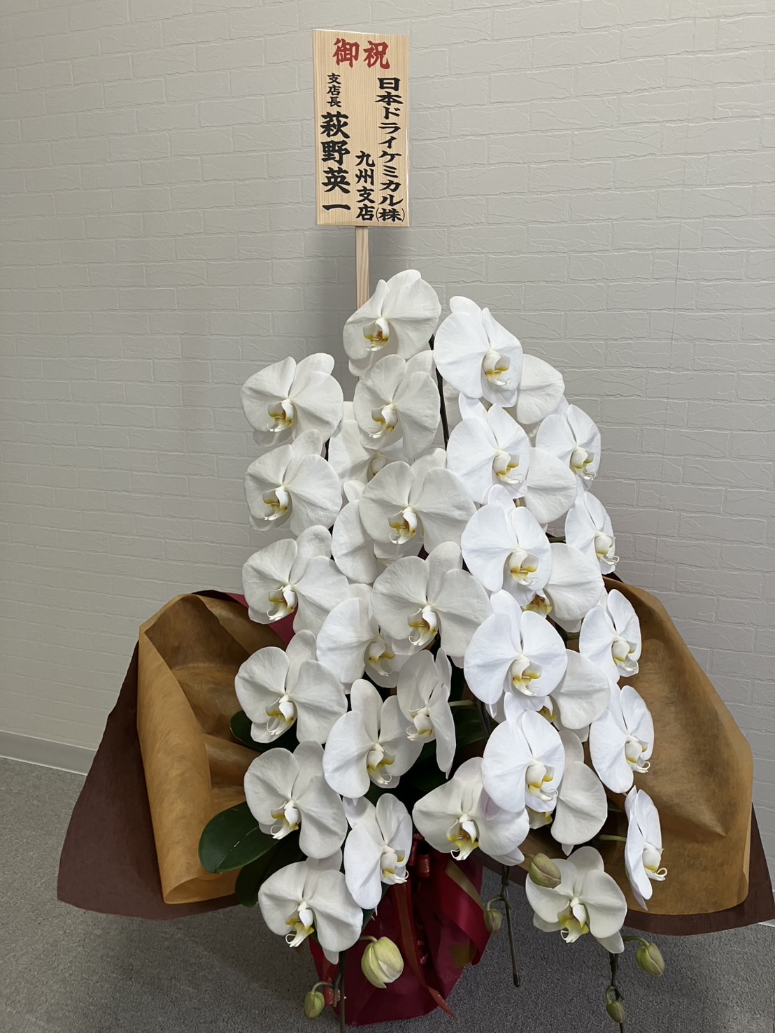 ありがとうございます(T_T)